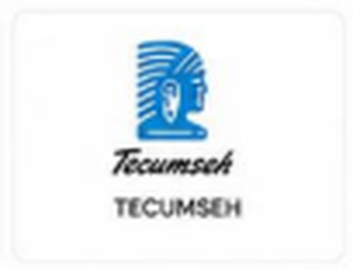 tecumseh