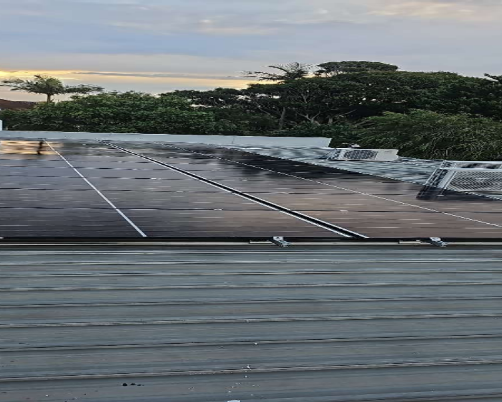 SOLAR PANELS INSTALLED NEWTOWN NSW